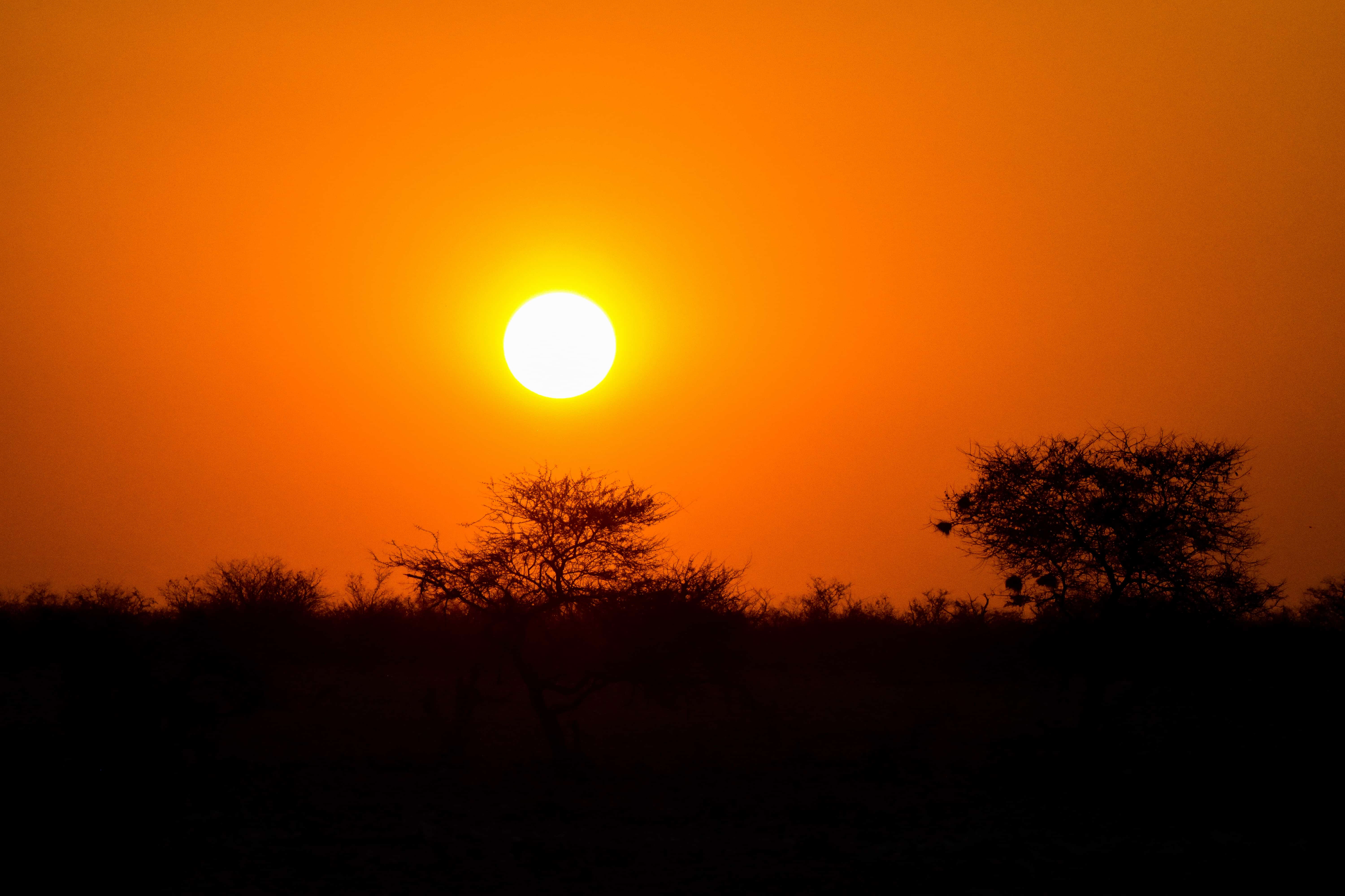 sunset africa namibia savanna
