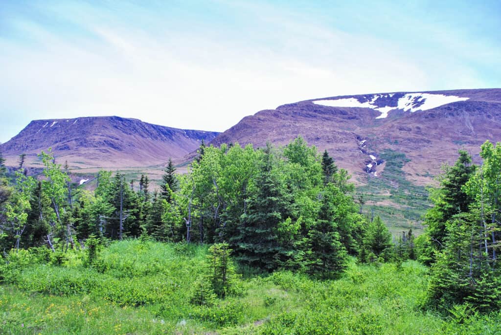 tablelands gros morne national park newfoundland