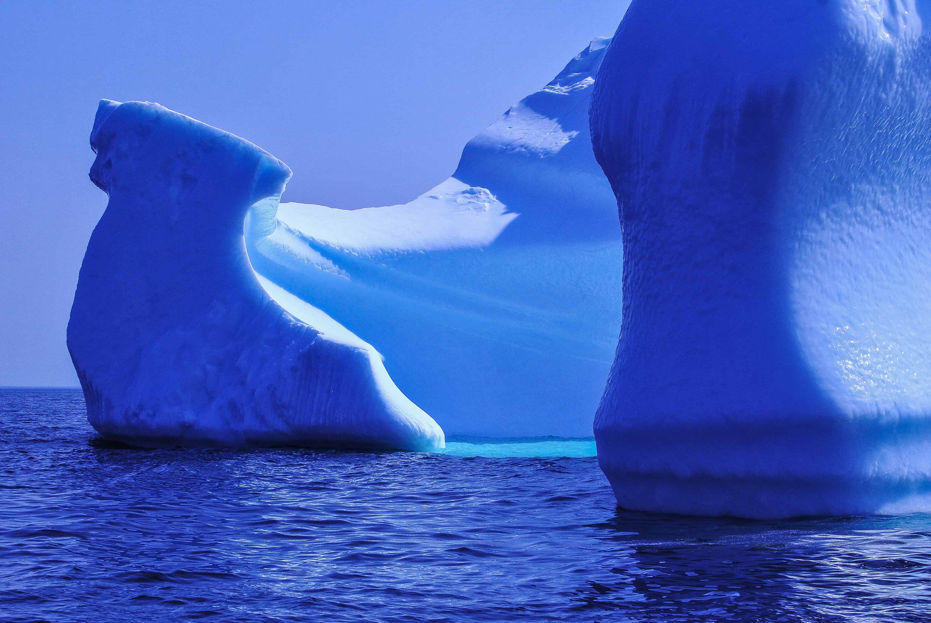 iceberg alley, newfoundland travel