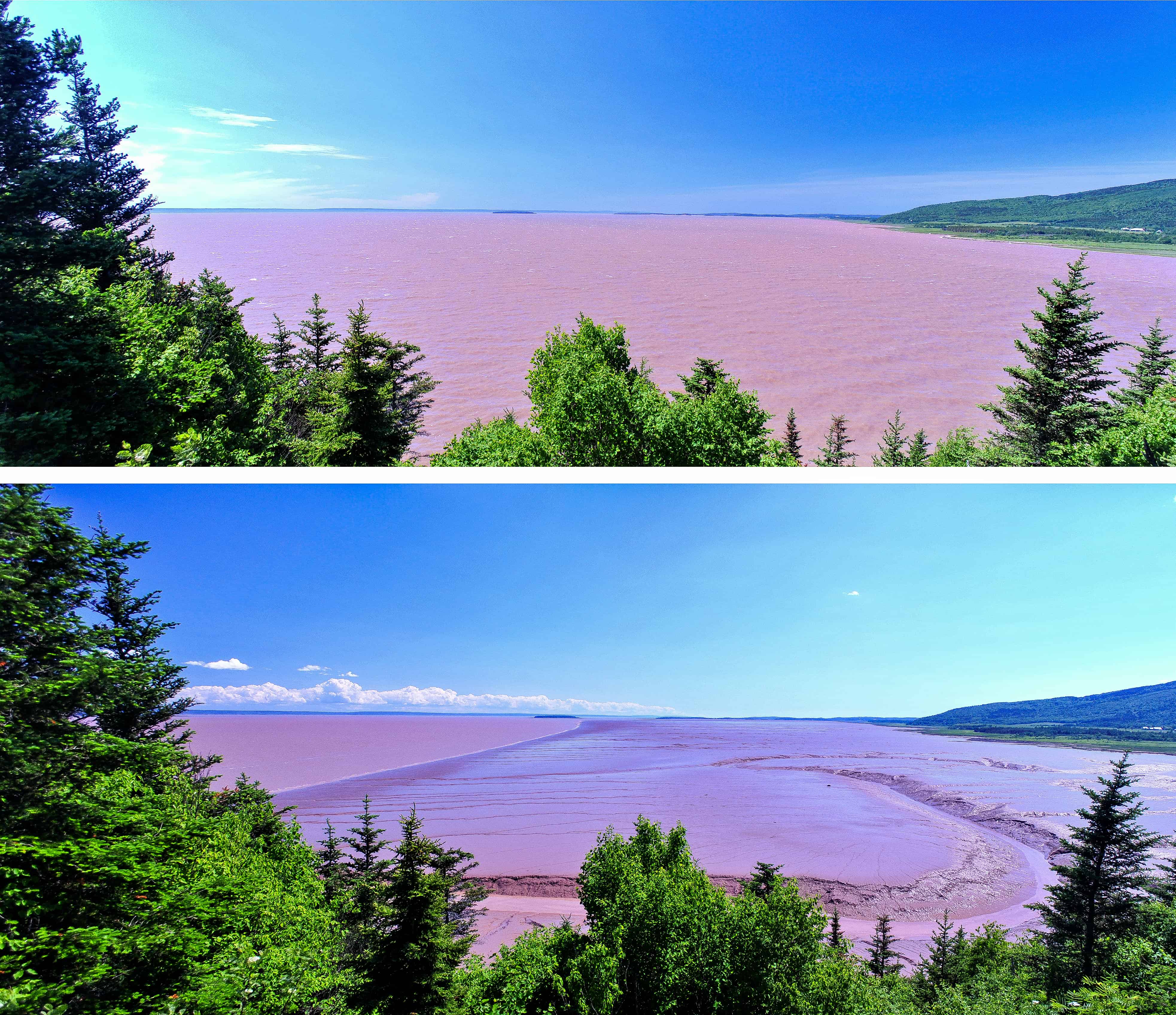 High and low tide hopewell rocks bay of fundy
