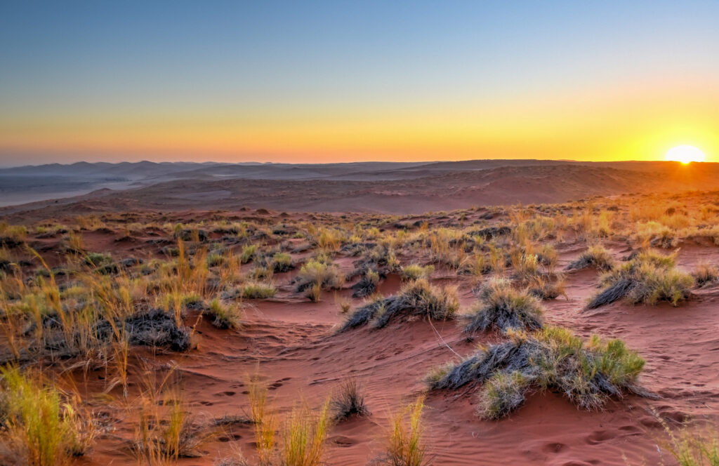 namibia travel namib desert elim dune