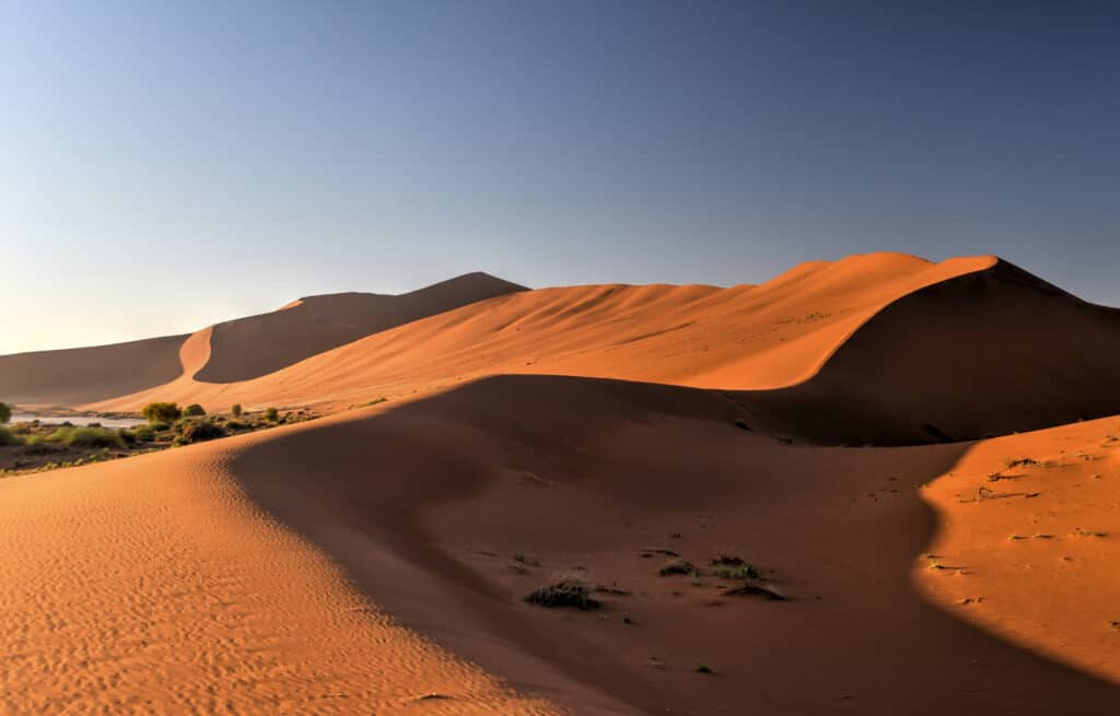 big daddy dune deadlvei namibia sossusvlei
