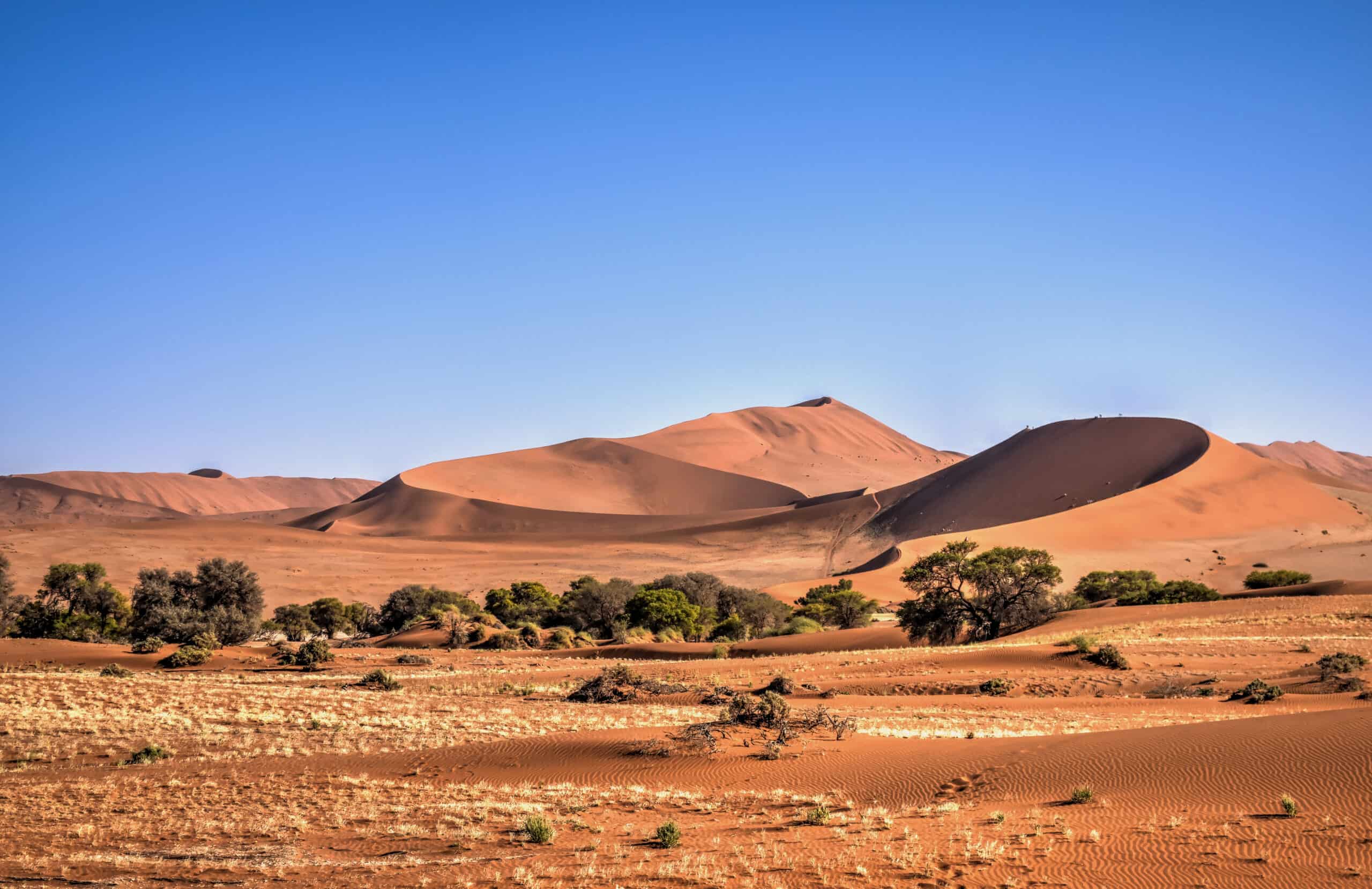 nambia sossusvlei giant dunes national park