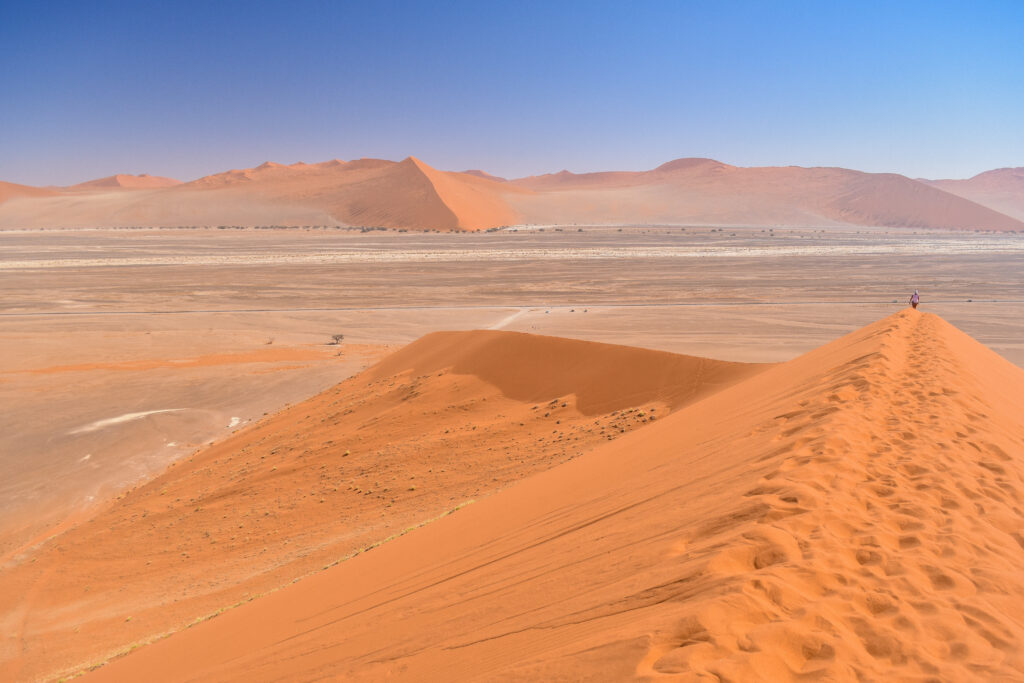 sossusvlei namib desert dune 45