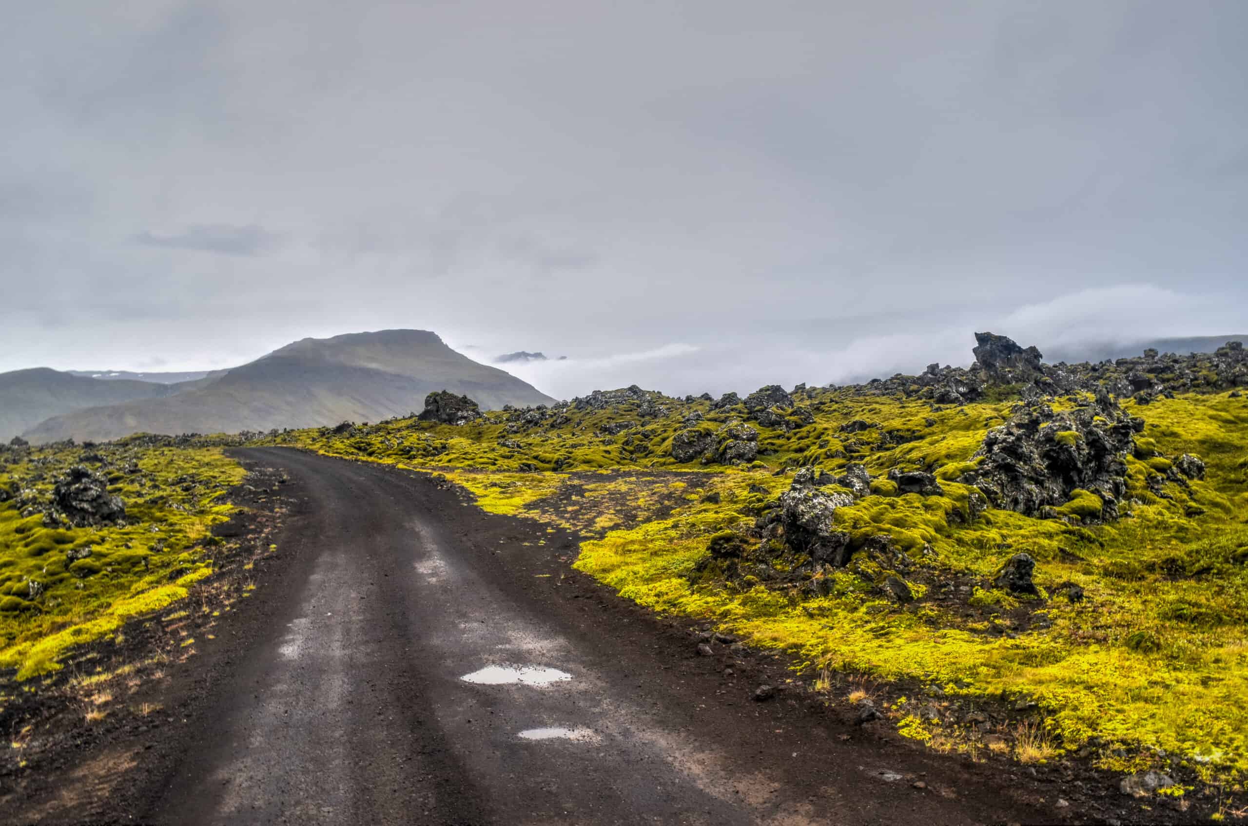 Berserkjahraun lava field Snæfellsnes iceland road