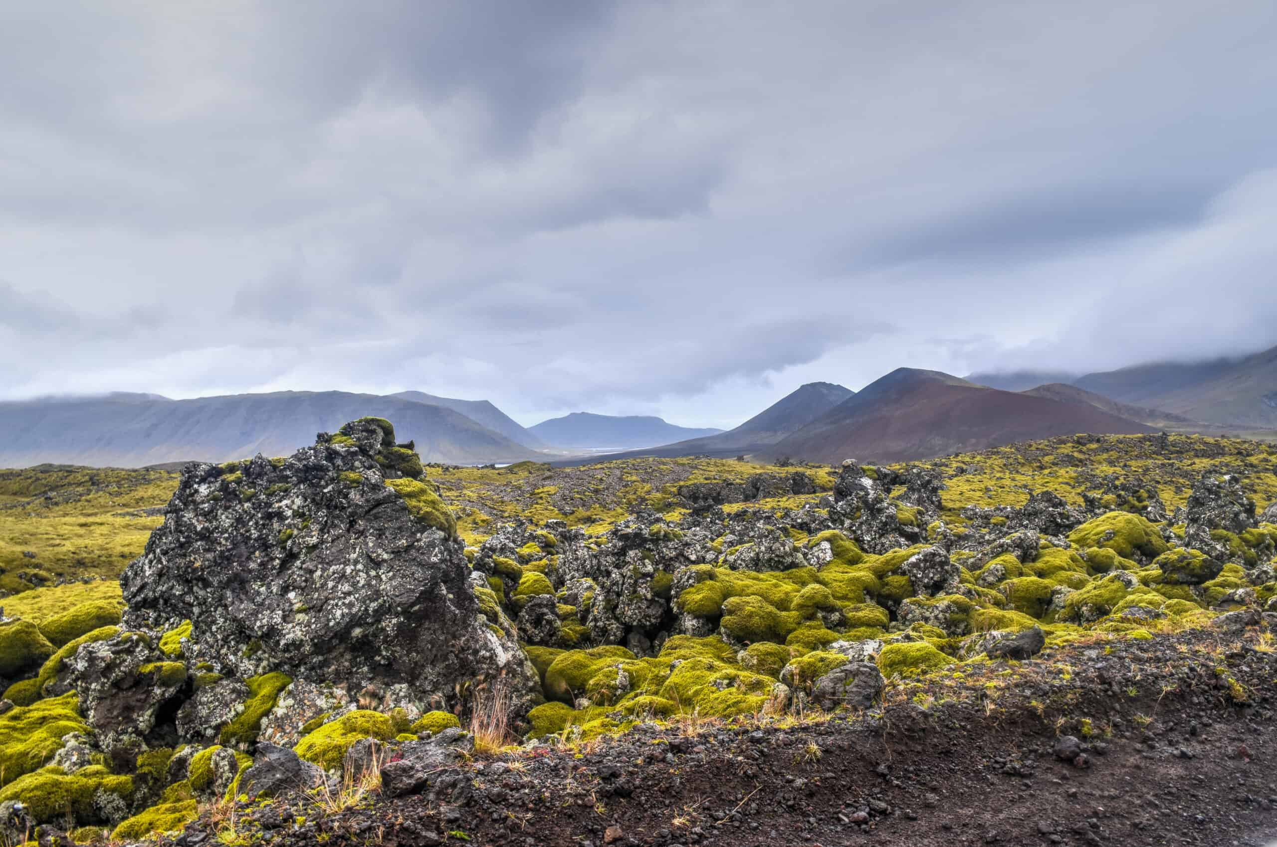 Berserkjahraun lava field Snæfellsnes iceland