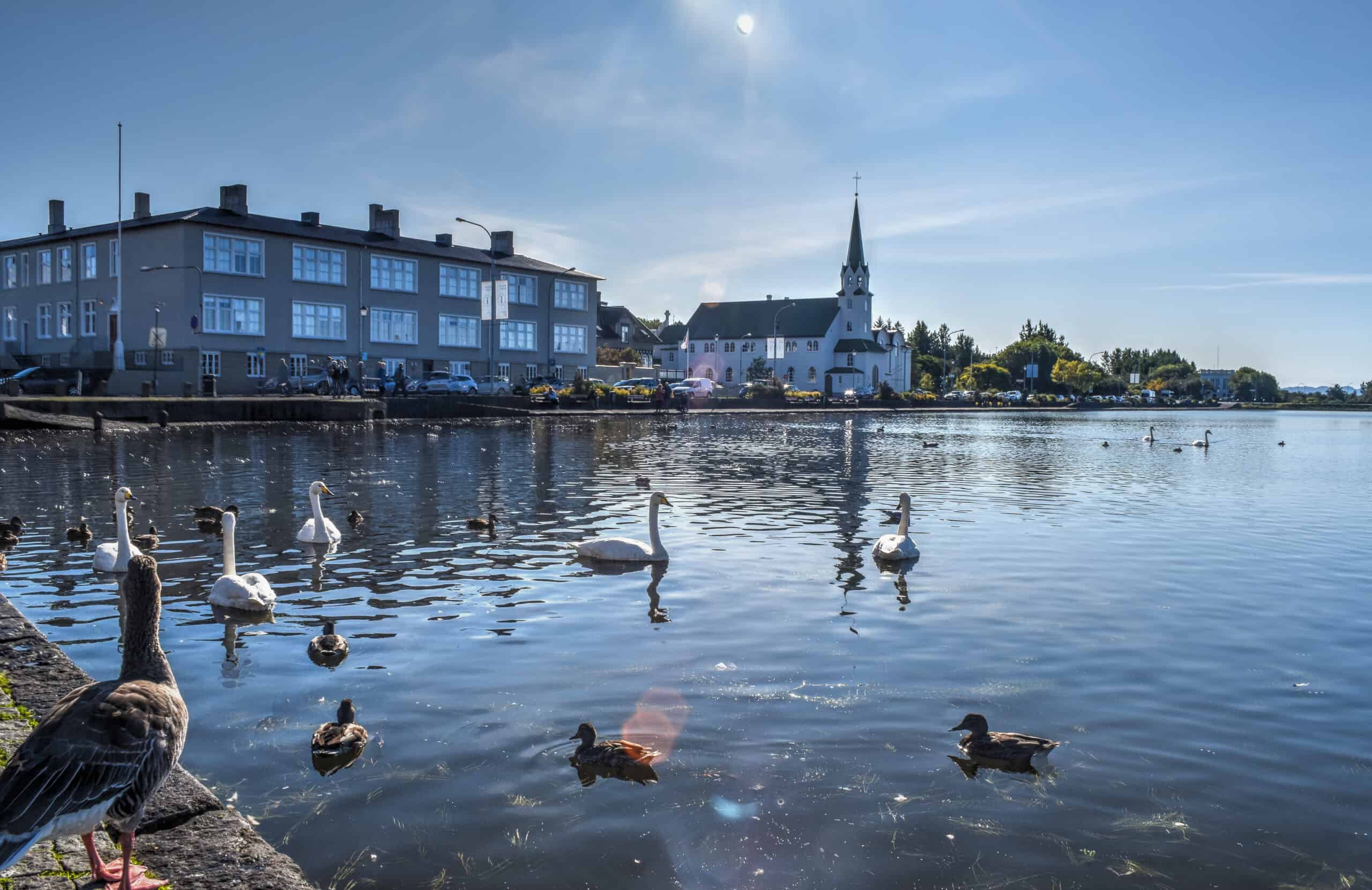 Tjörnin lake reykjavik iceland