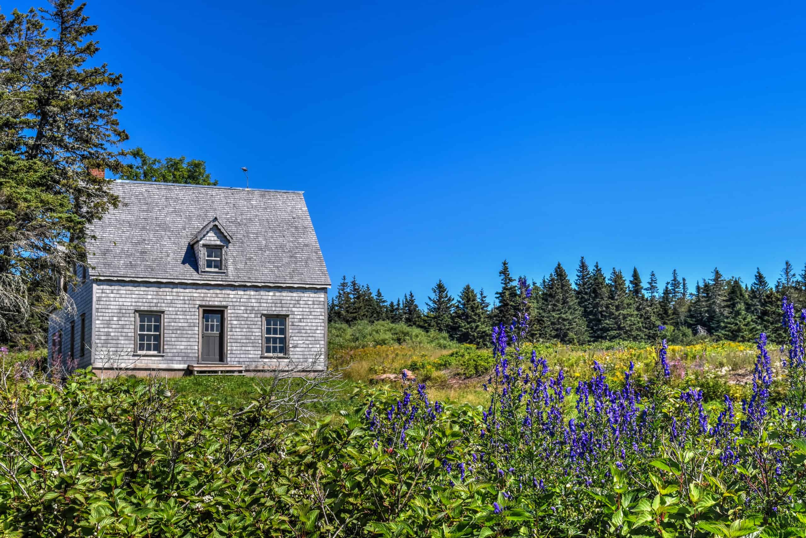 house and wildflowers on Chemin-du-Roy trail bonaventure island 