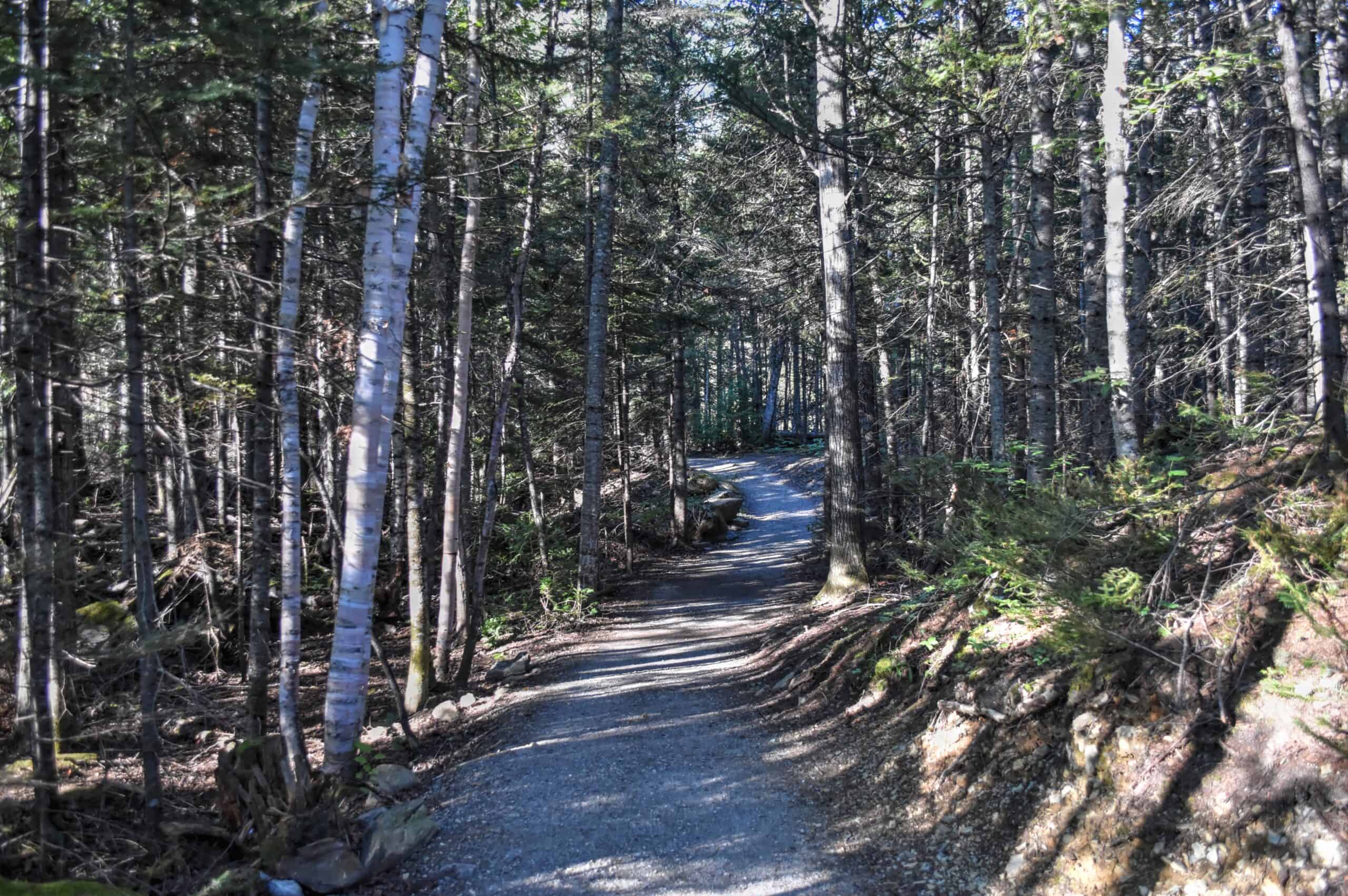 hiking trail chute st anne gaspésie national park