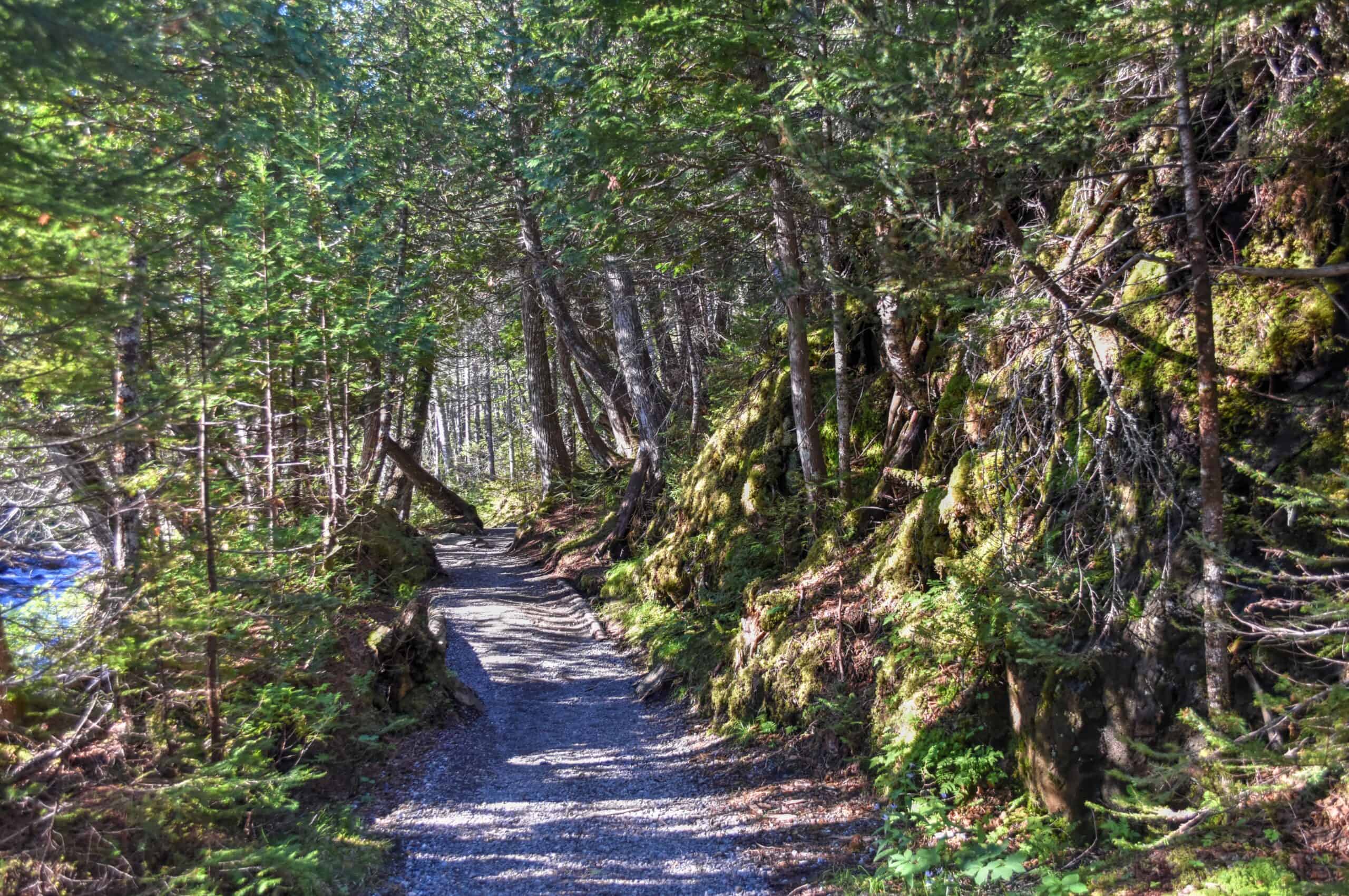hiking trail chute st anne gaspésie national park