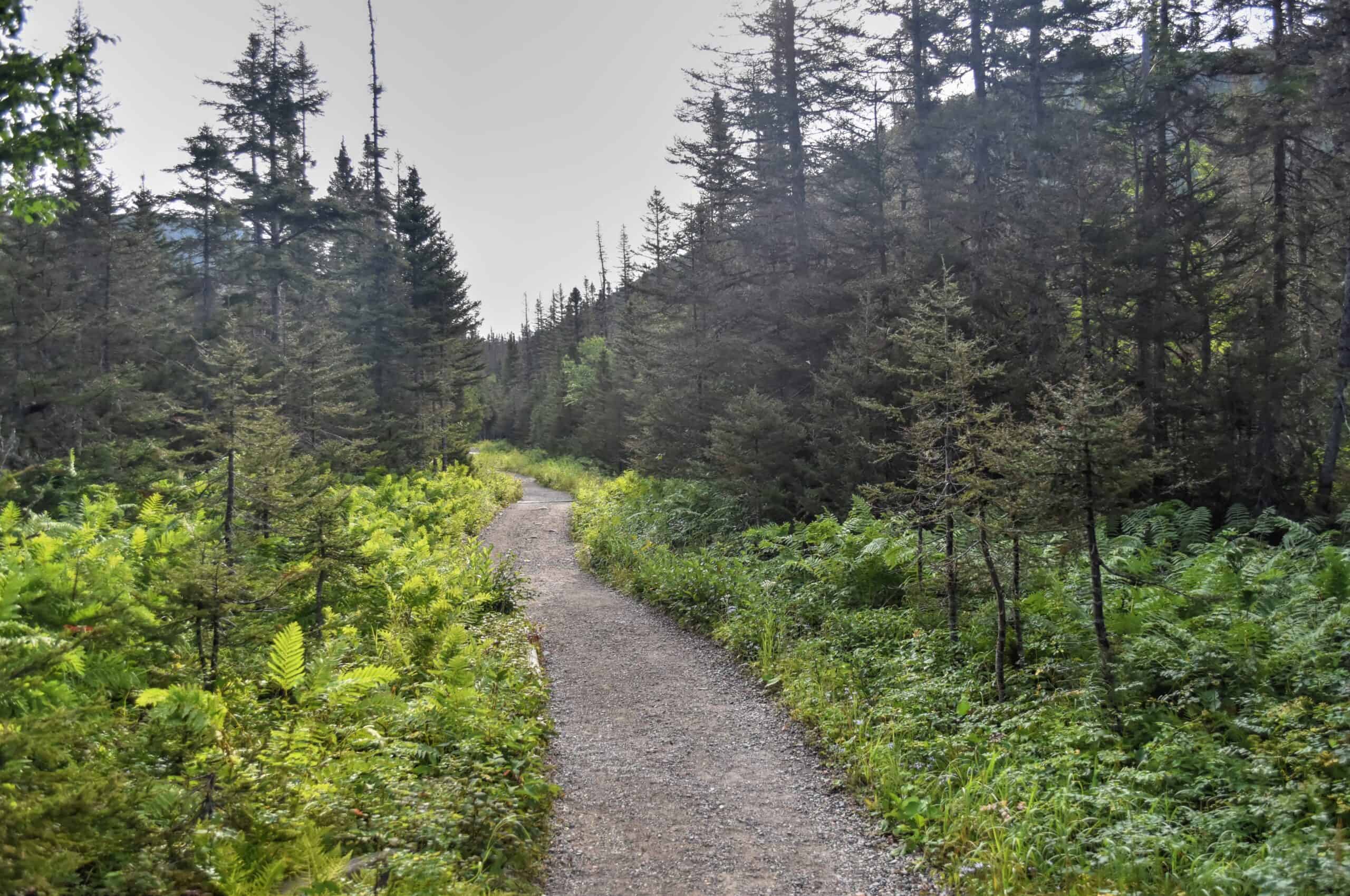 Best Hiking Trails in Gaspésie National Park