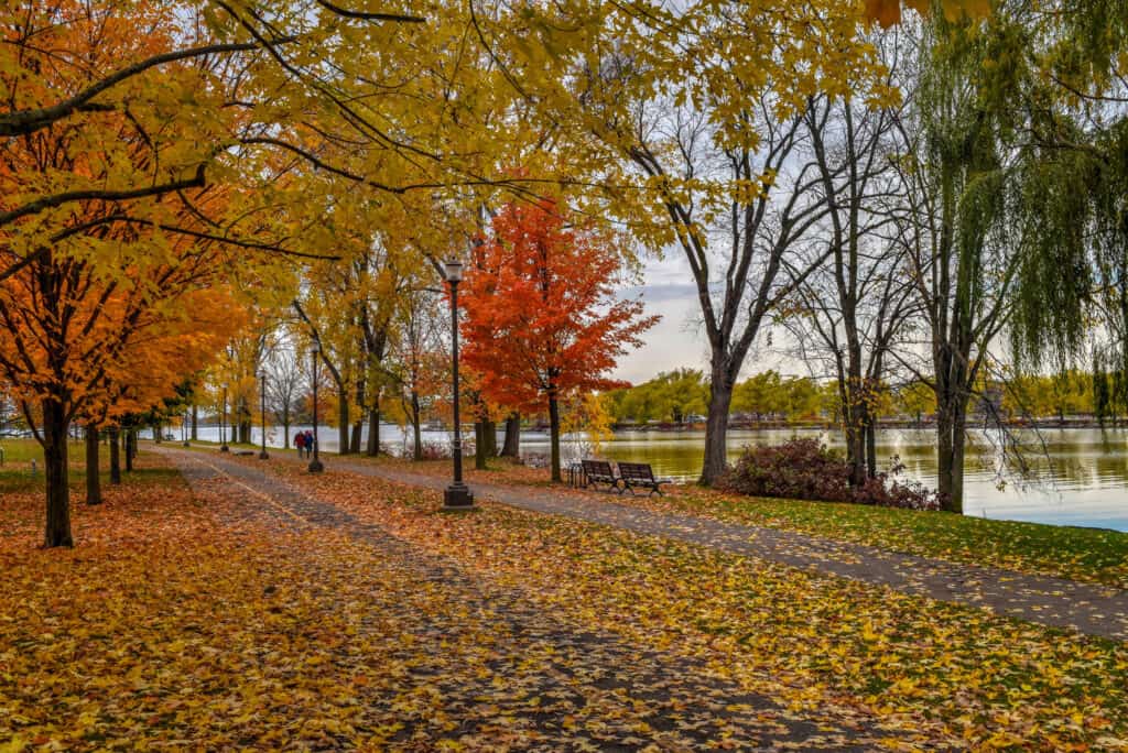 Parc René Lévesque autumn colors