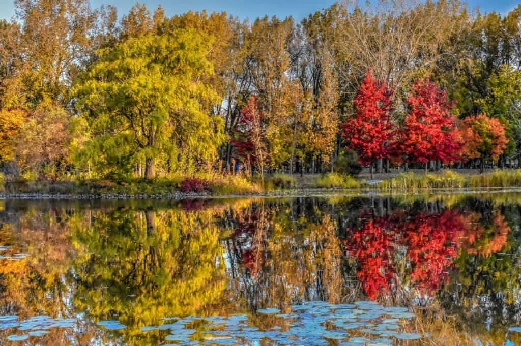 montreal angrignon park autumn colors