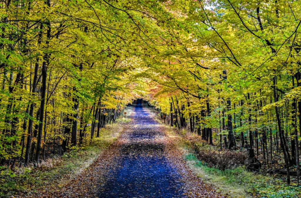 st-bruno parc autumn colors trail