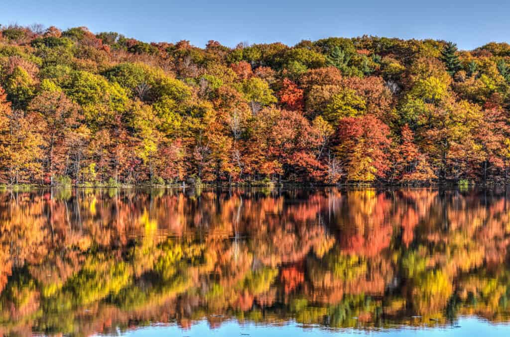 st-bruno parc autumn colors lake reflection