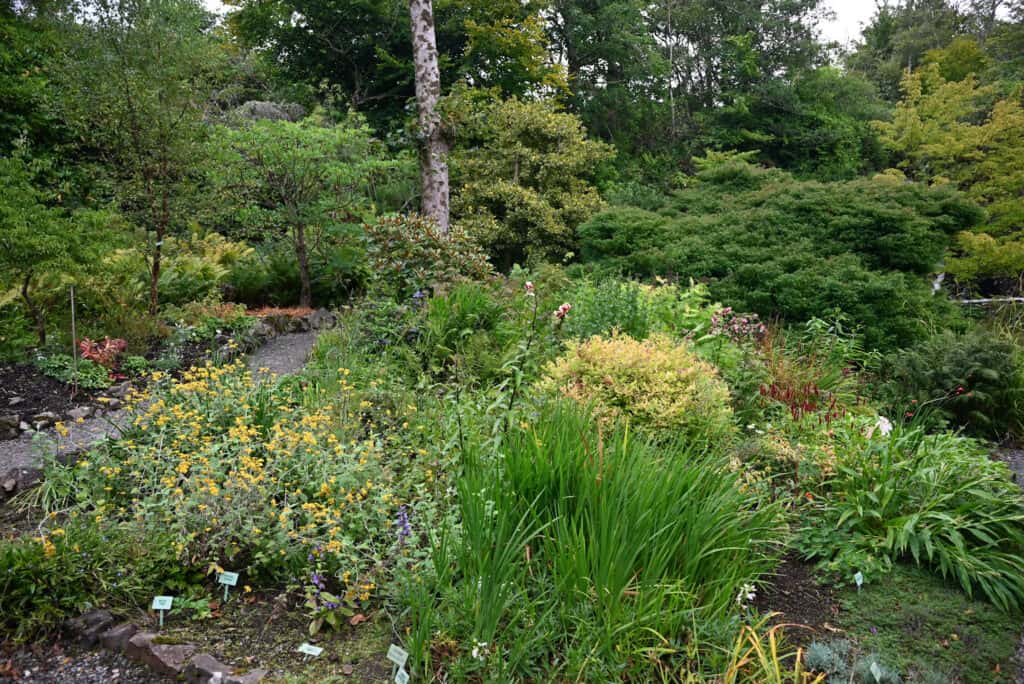 Dunvegan Castle garden plants