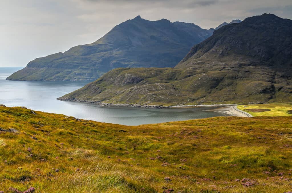 sheep near the camasunary bay hiking trail on the isle of skye