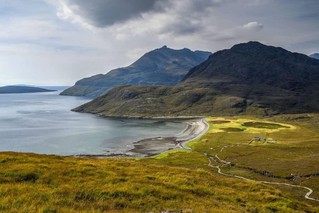 sheep near the camasunary bay hiking trail on the isle of skye 