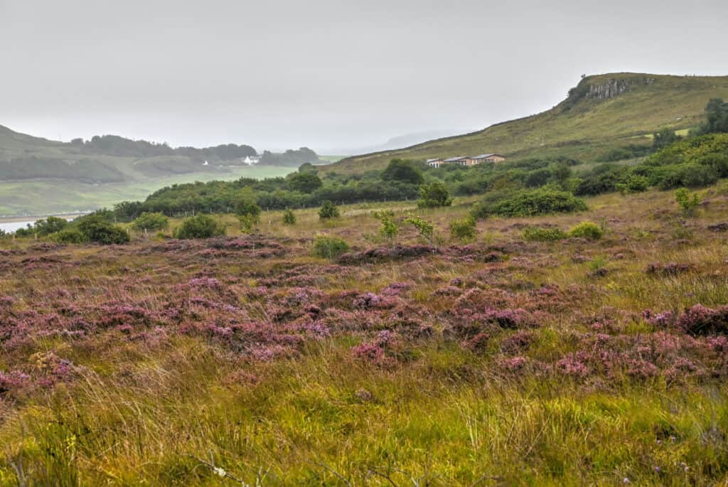 bernisdale skye isle of