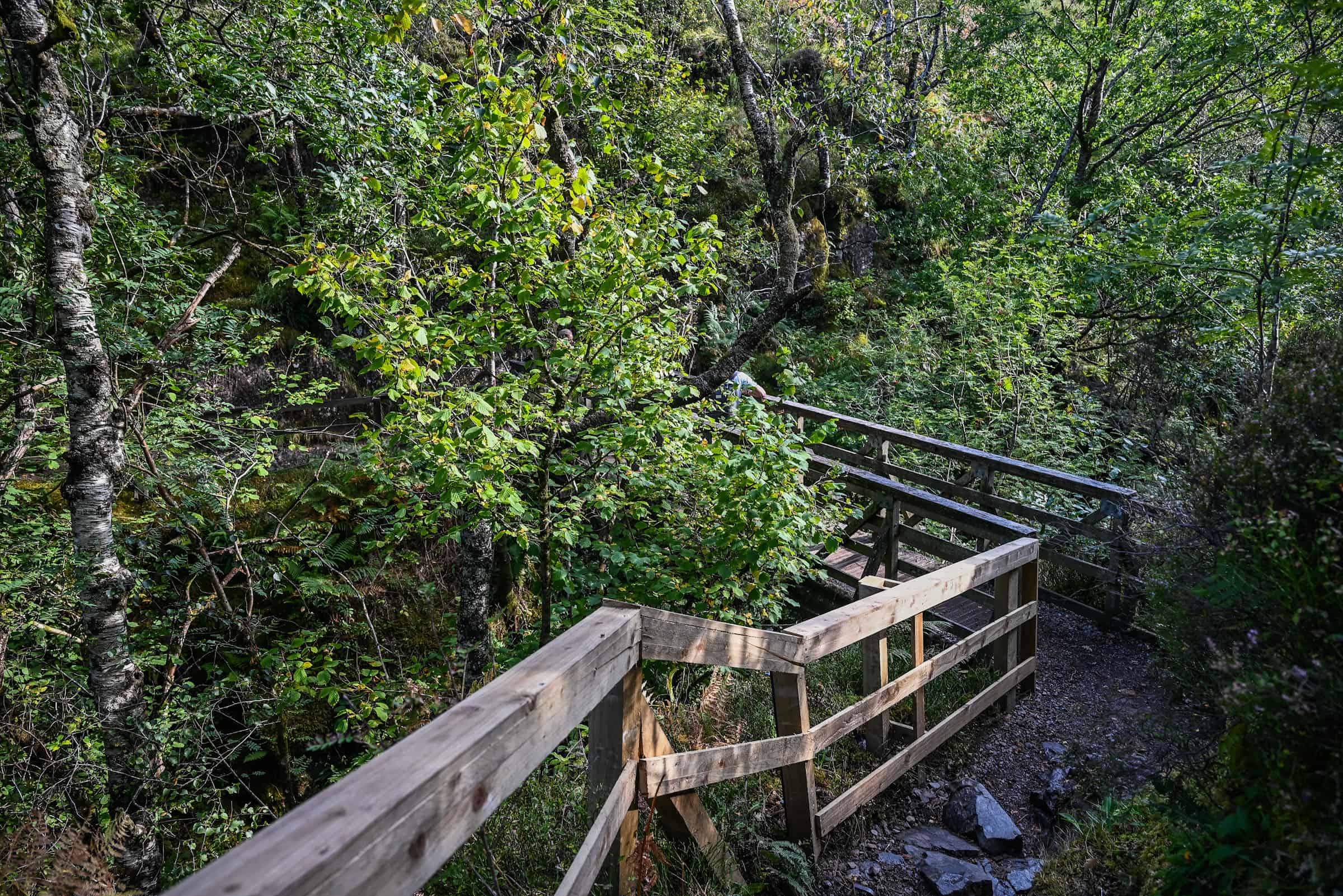 wooden bridge lost valley trail