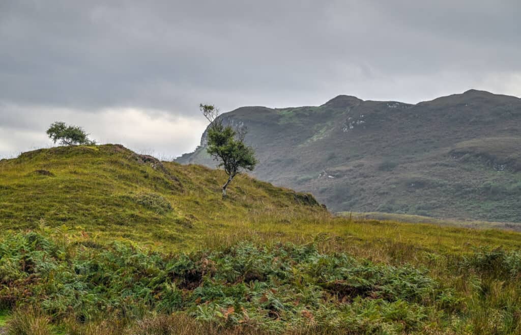 isle of kerrera walking trail