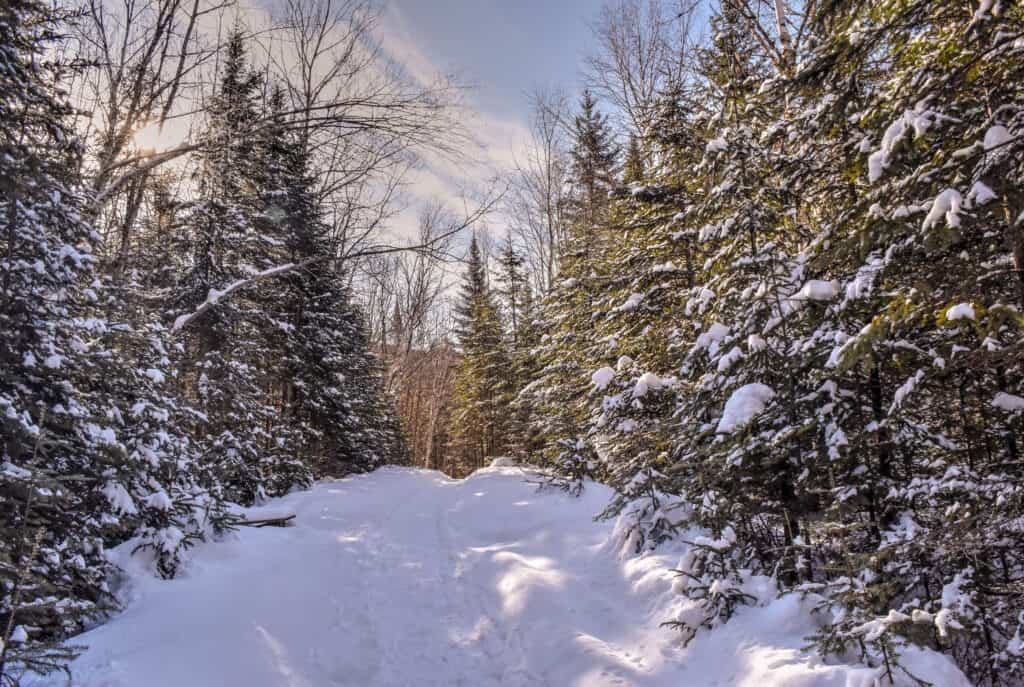 parc jacques cartier winter quebec hiking trail
