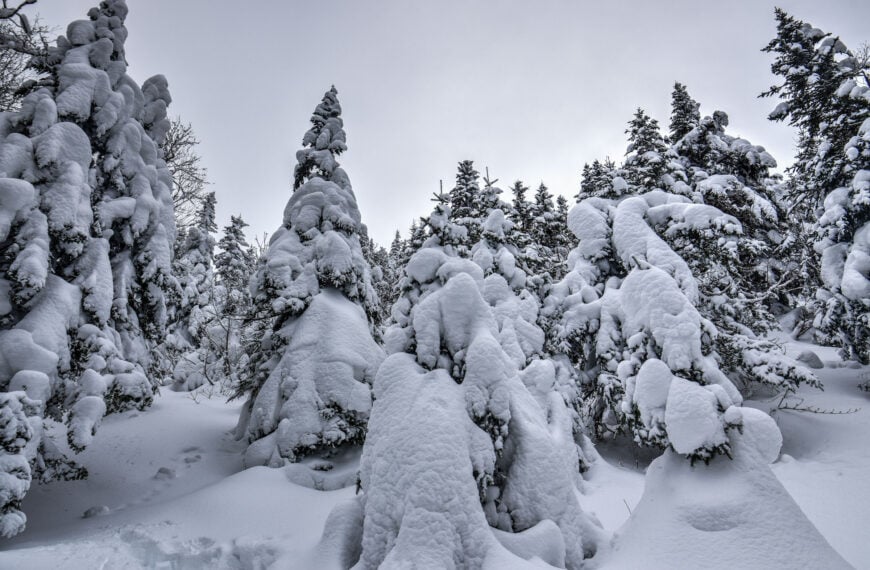 snow trees round top trail sutton