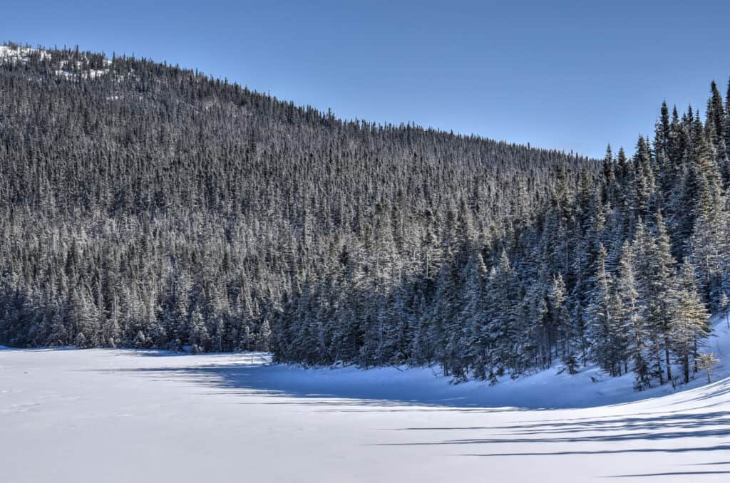 Lac des Cygnes Trail parc national grands jardins charlevoix in winter 