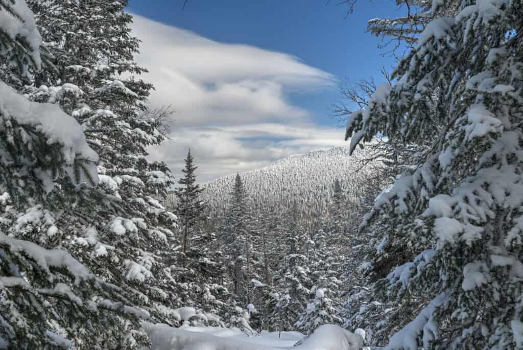 winter scenery from mont mégantic trail