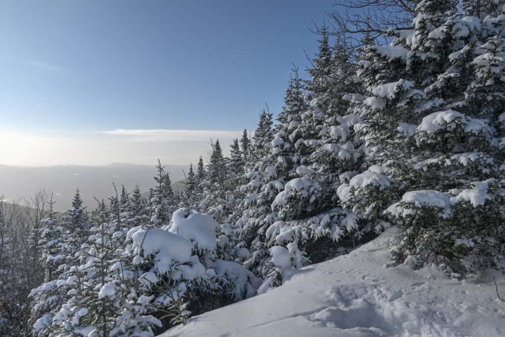 viewpoint from mont mégantic summit trail