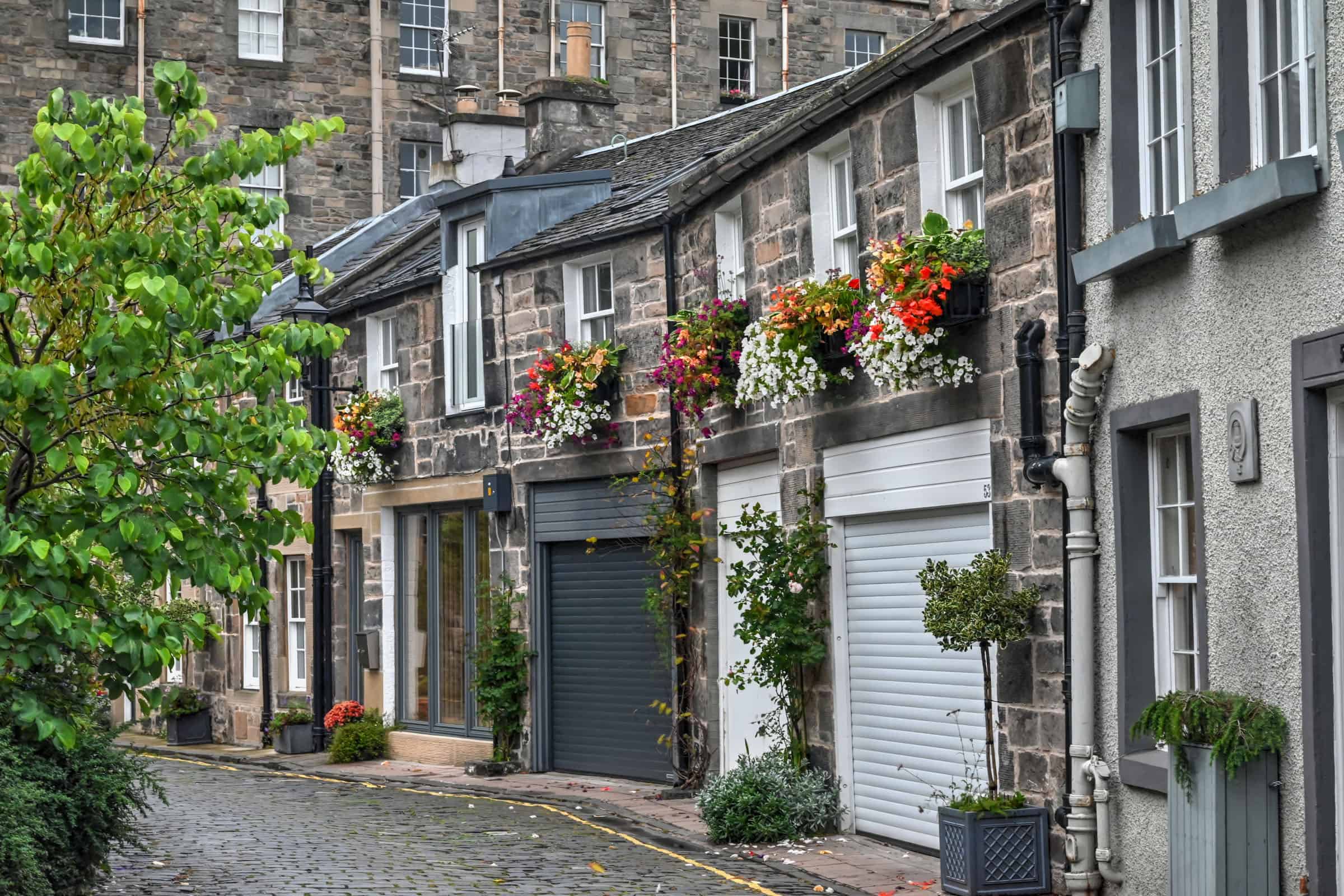 circle lane edinburgh with flowers