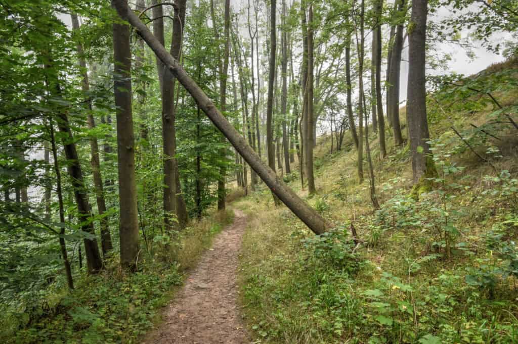 Dívcí Kámen castle trail 