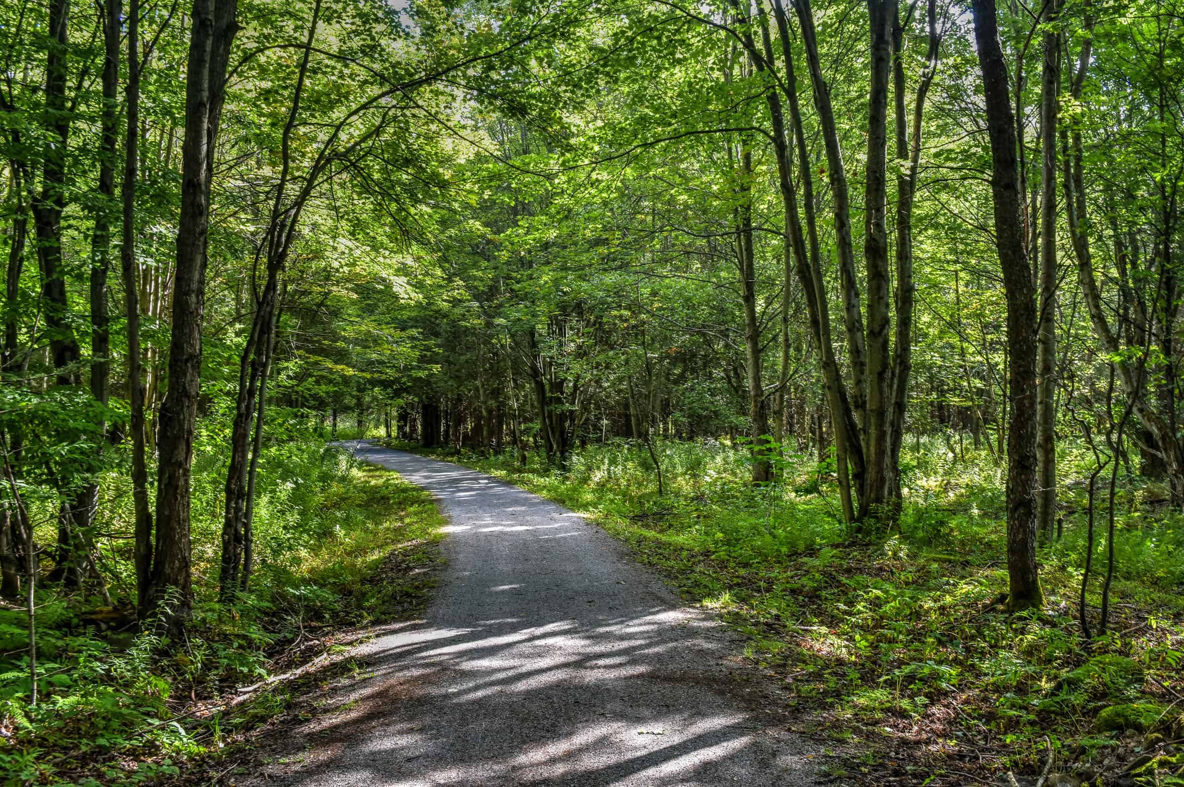 yamaska national park trail hiking