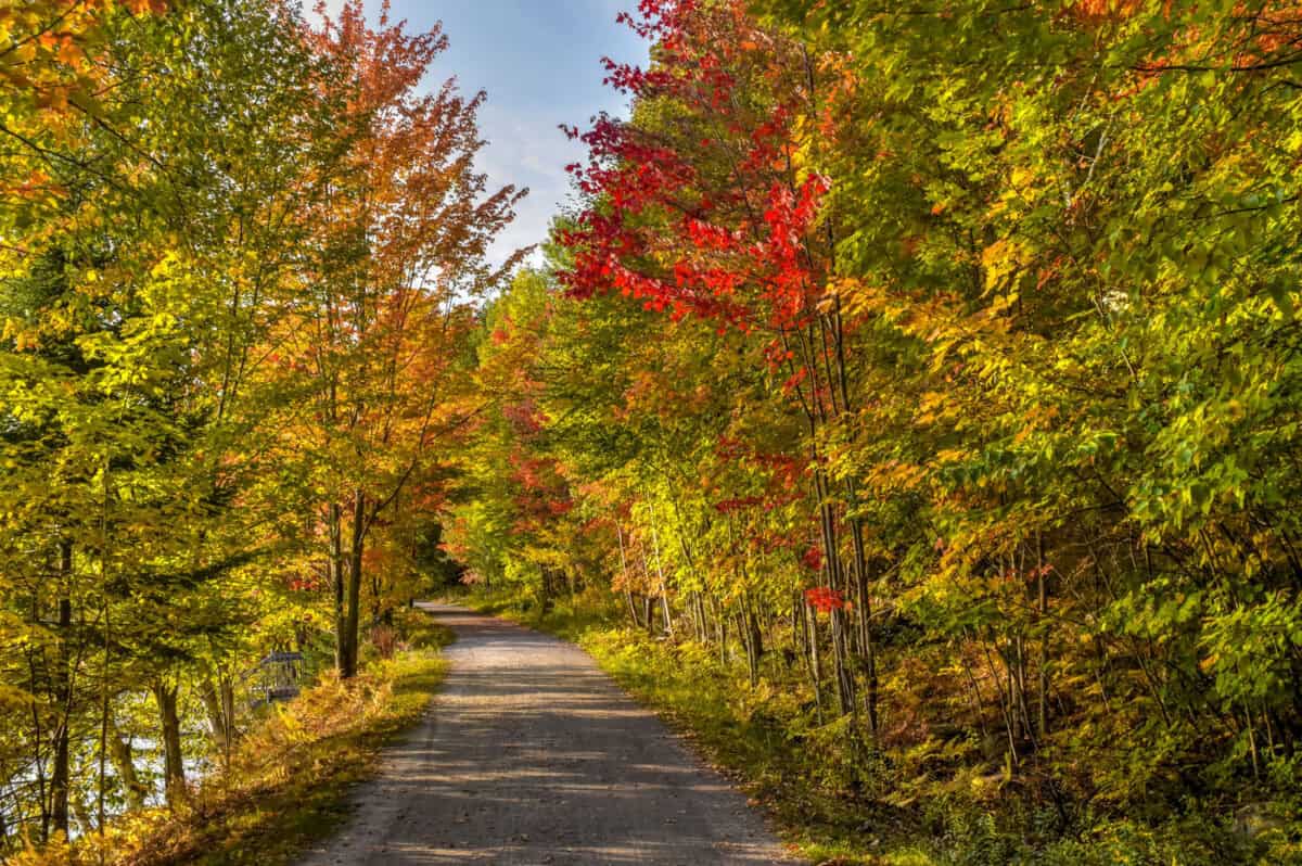 lac mercier walking trail mont-tremblant