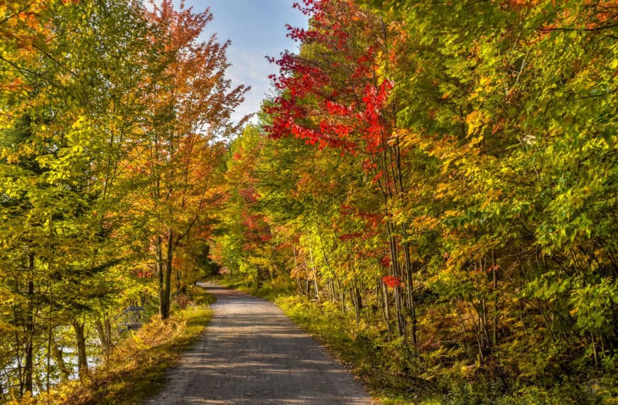 lac mercier walking trail mont-tremblant