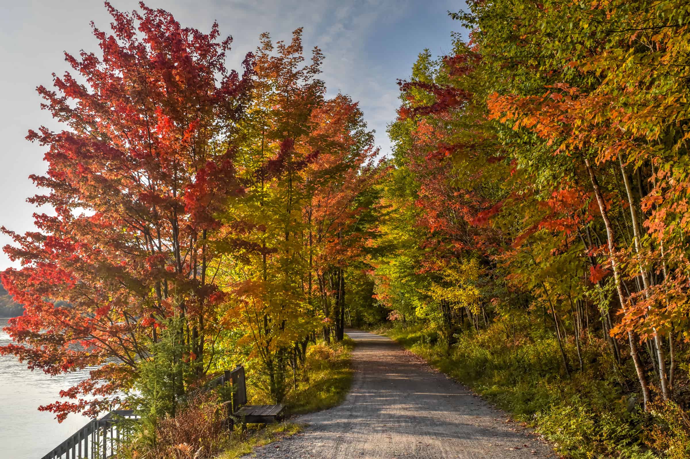 lac mercier trail mont-tremblant fall