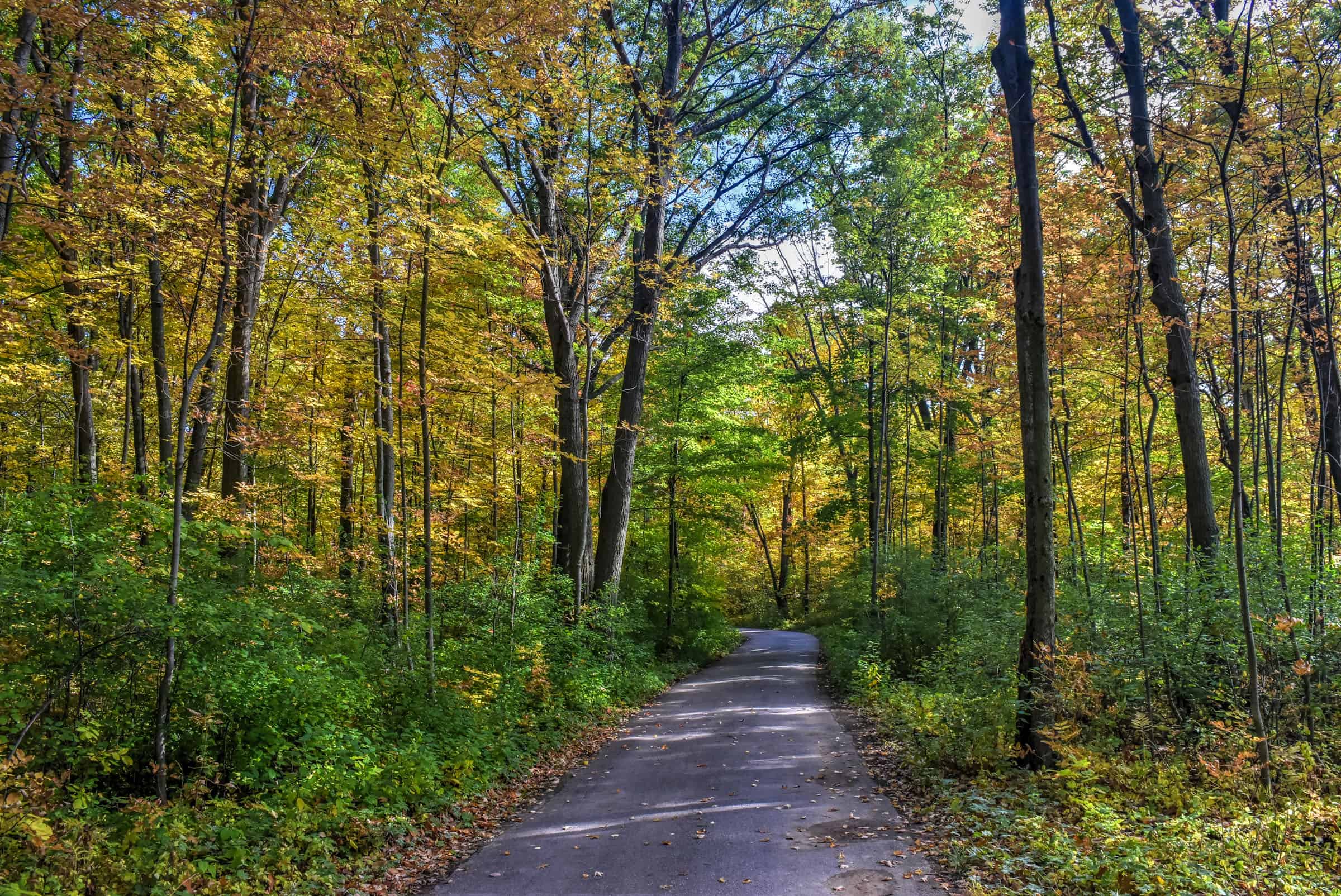 Calvaire d'Oka Trail