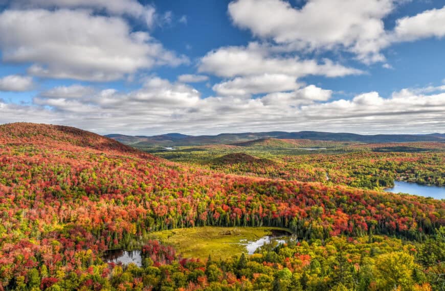 Best Parks and Trails To See The Fall Foliage And Autumn Colours Near Montreal