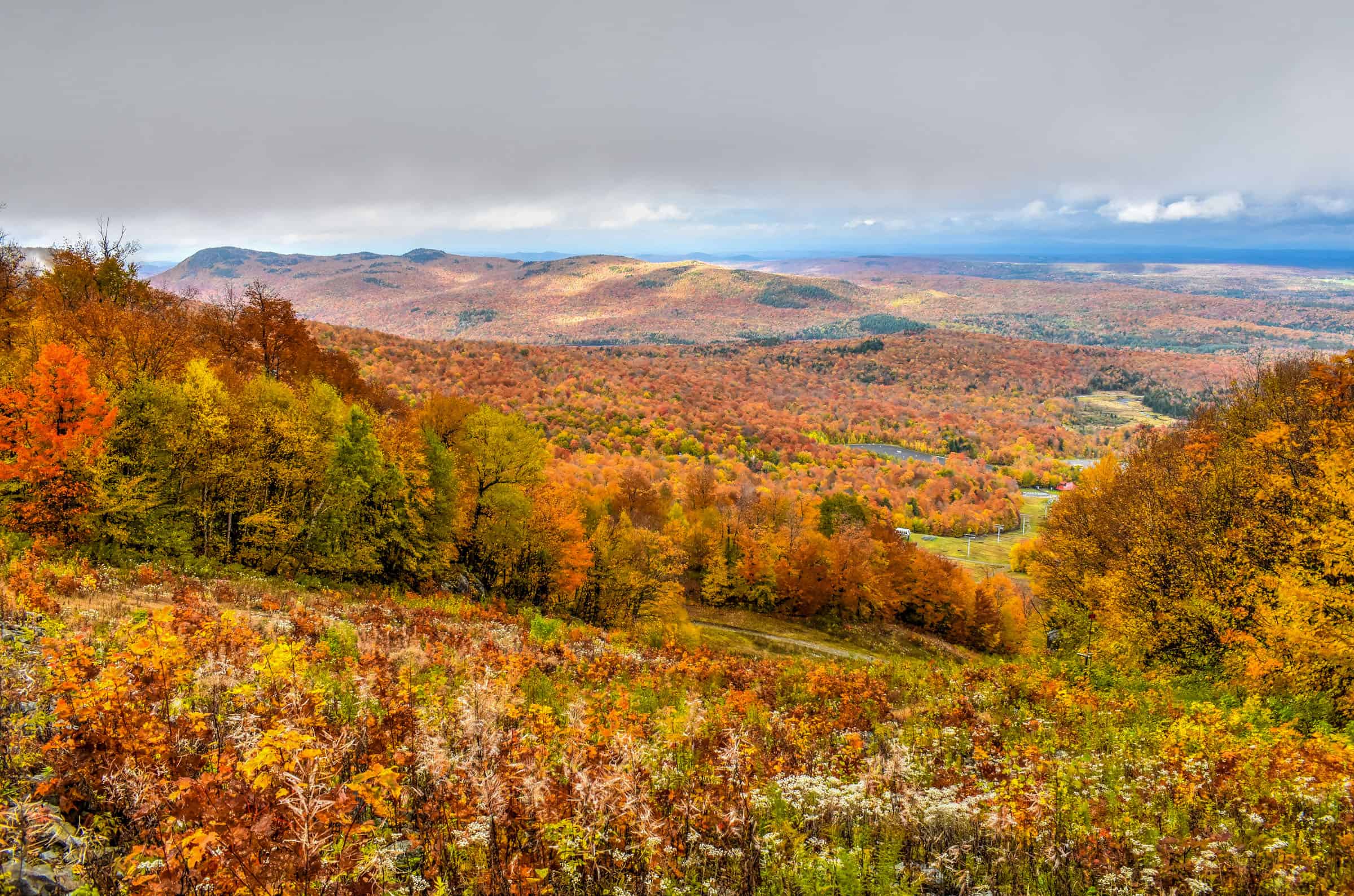 Mont Orford autumn colors trail