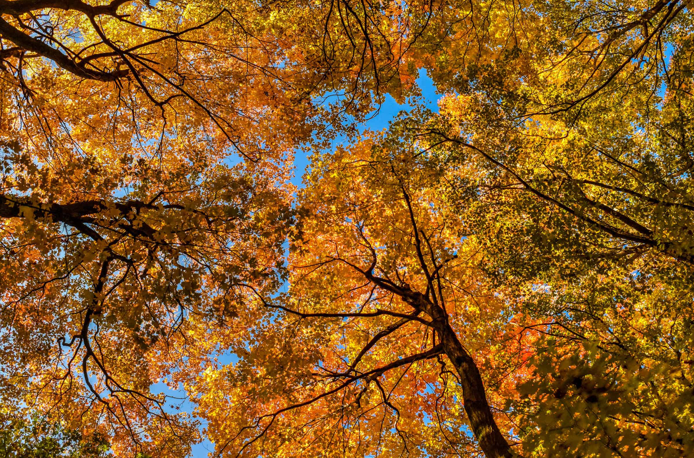 sentier les lacs hiking trails mont saint-bruno