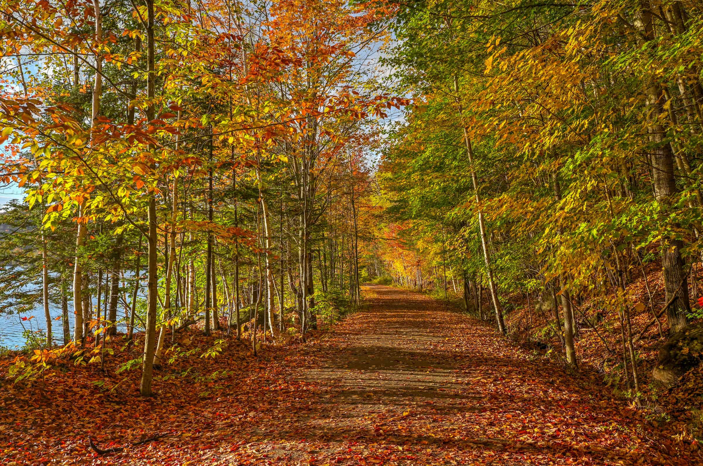 lac mercier trail tremblant fall