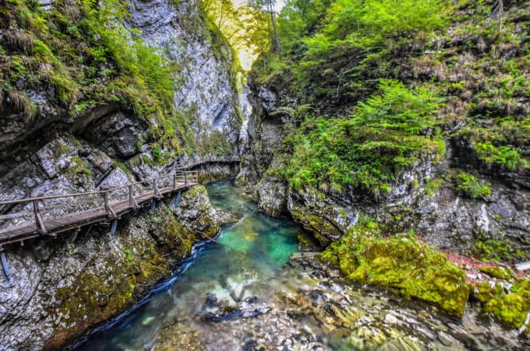 vintgar gorge and boardwalk