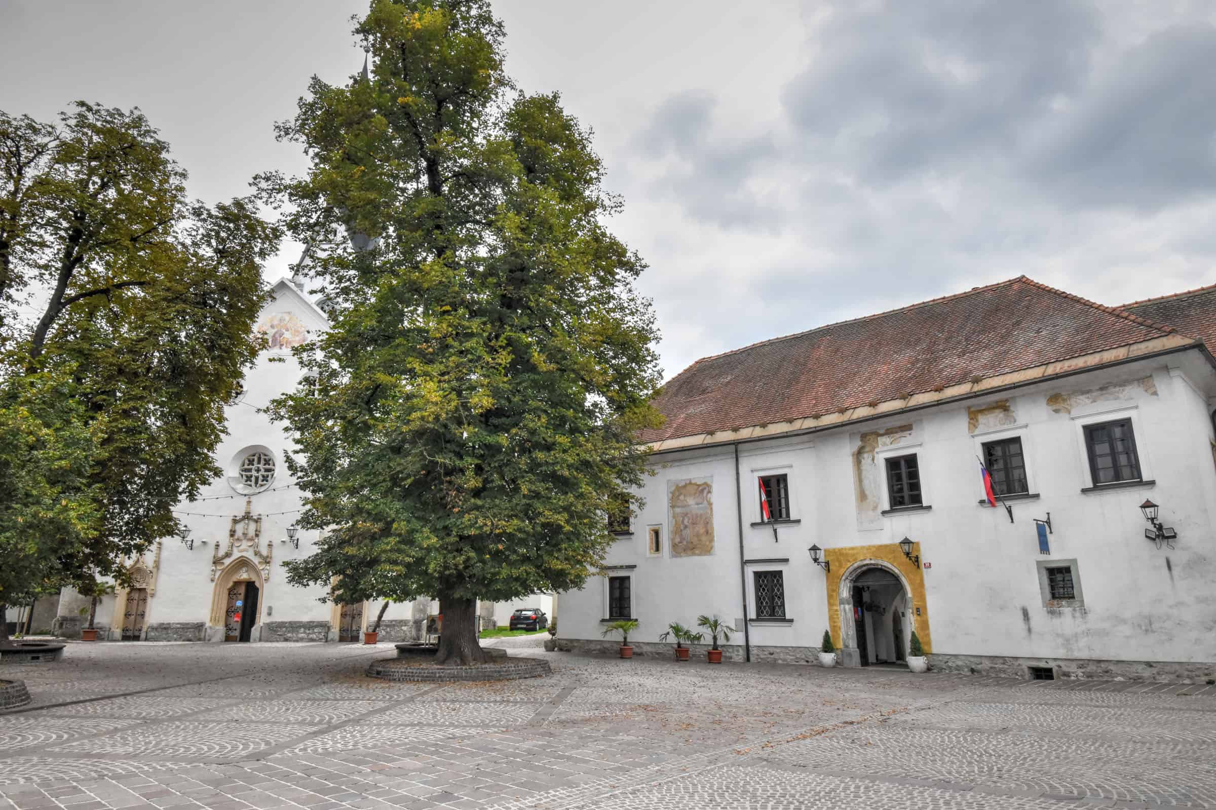 Radovljica st peter church