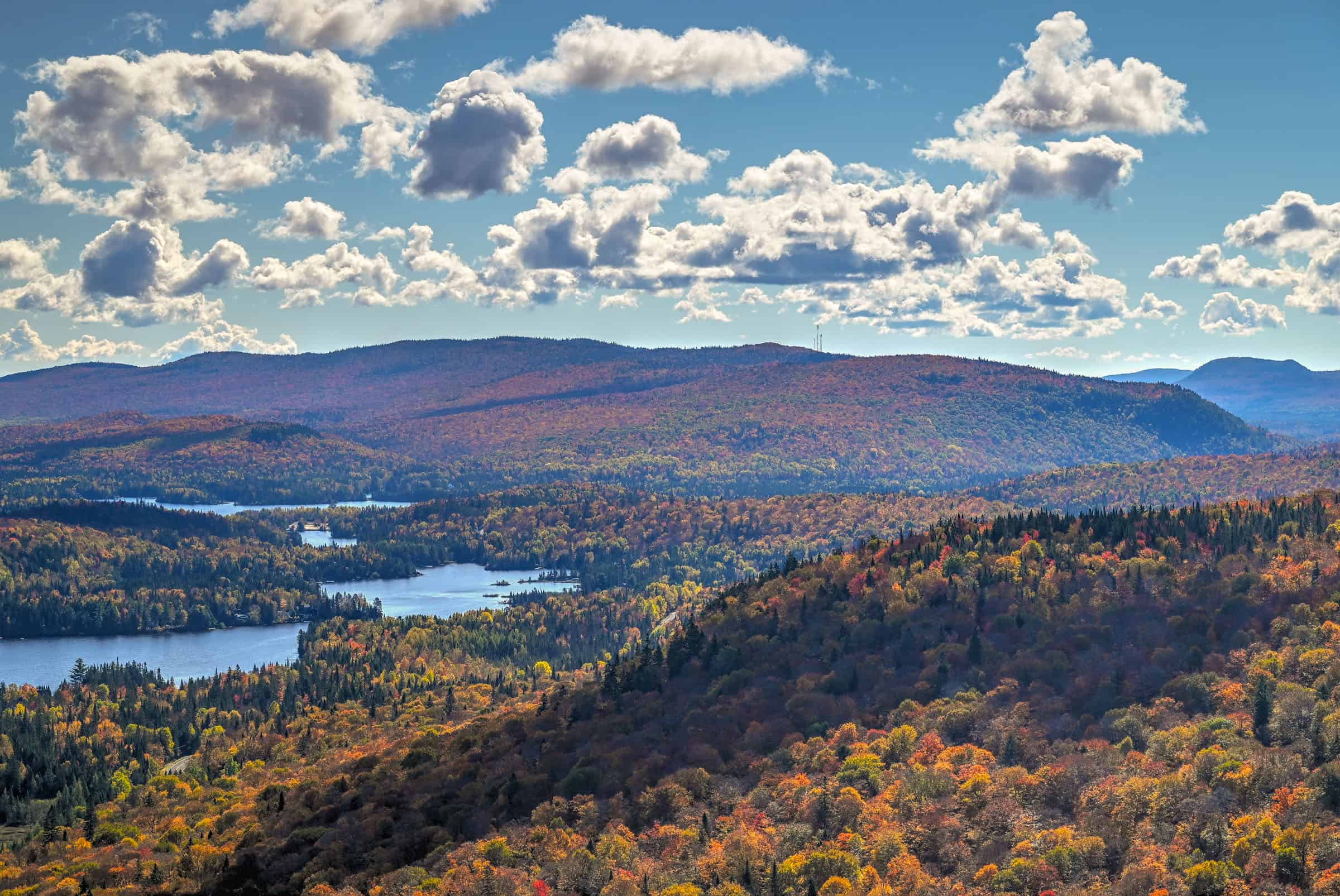 mont envol viewpoint