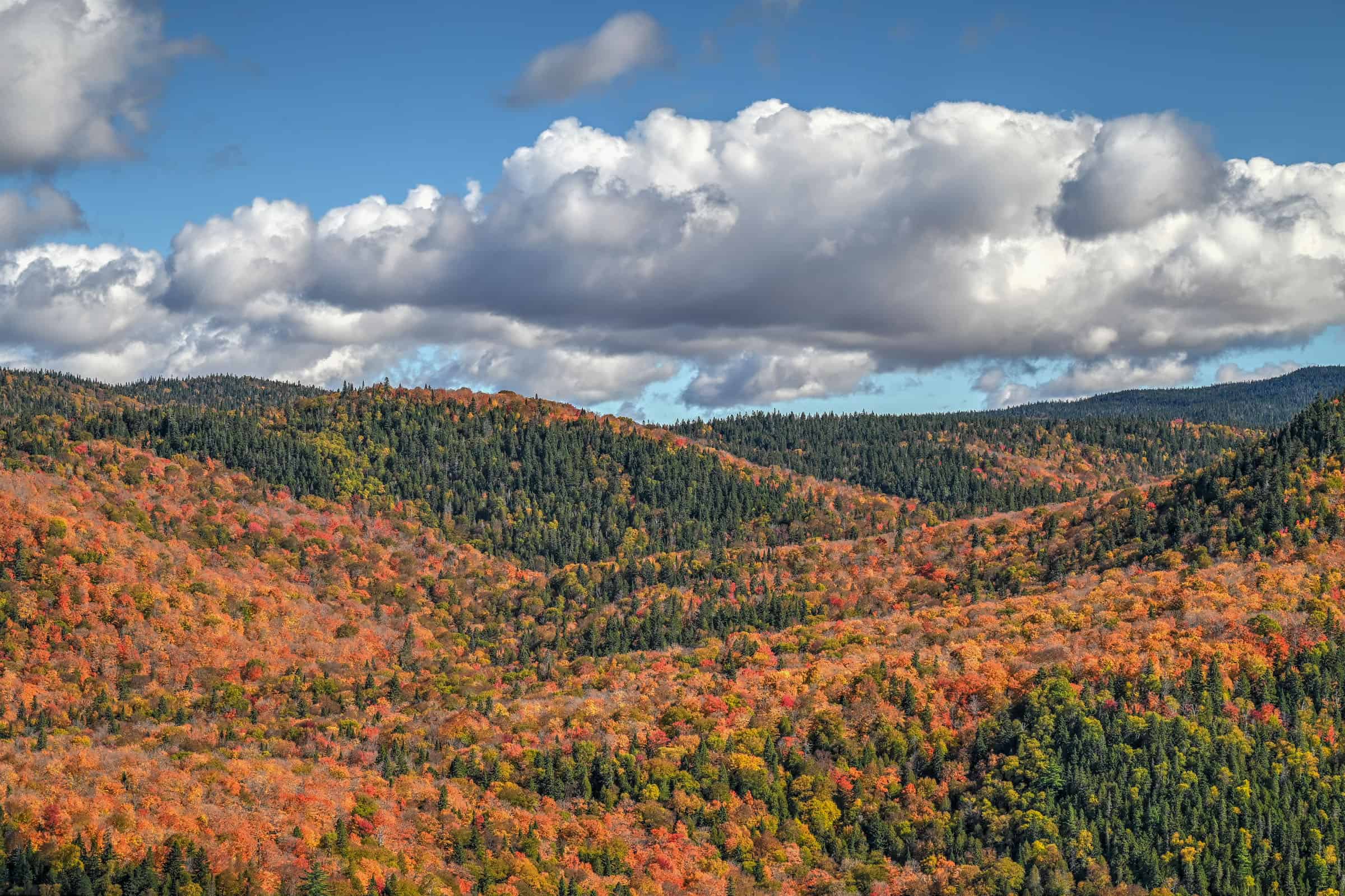 hiking trail mont l'envol parc mont-tremblant