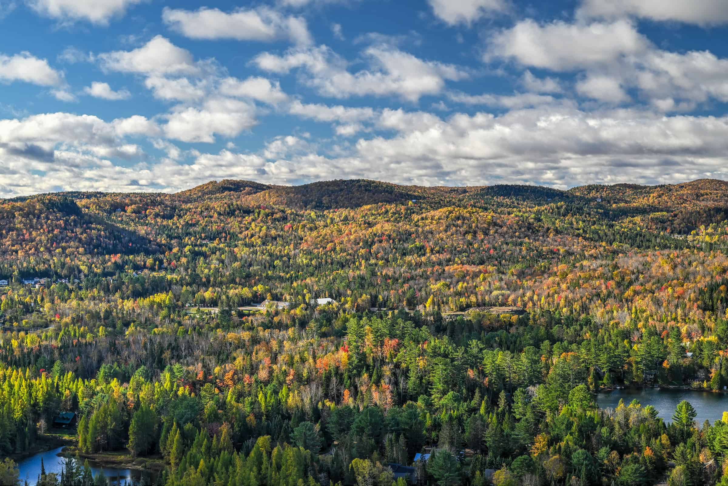 mont condor trail viewpoint