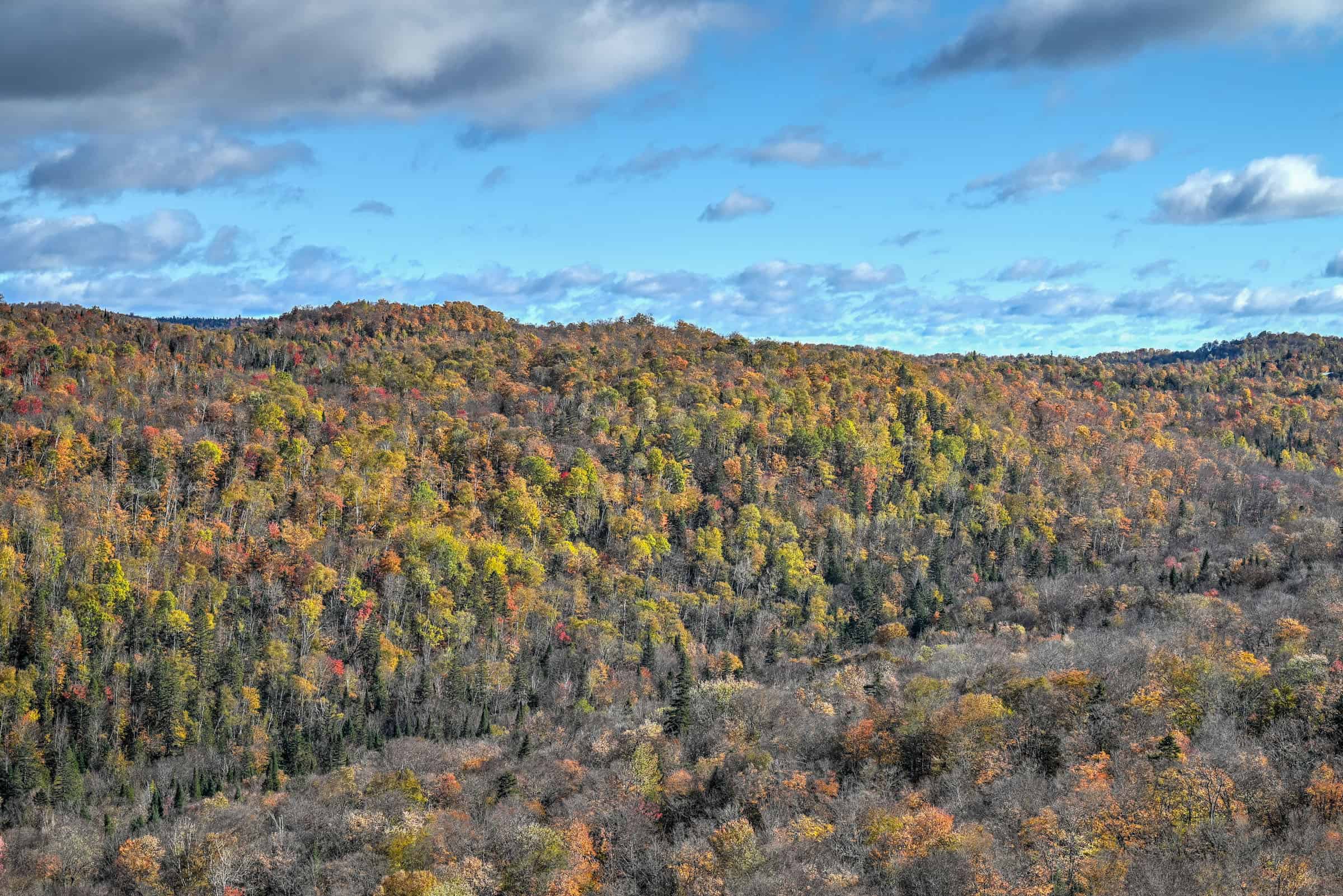 mont condor trail viewpoint with fall colors