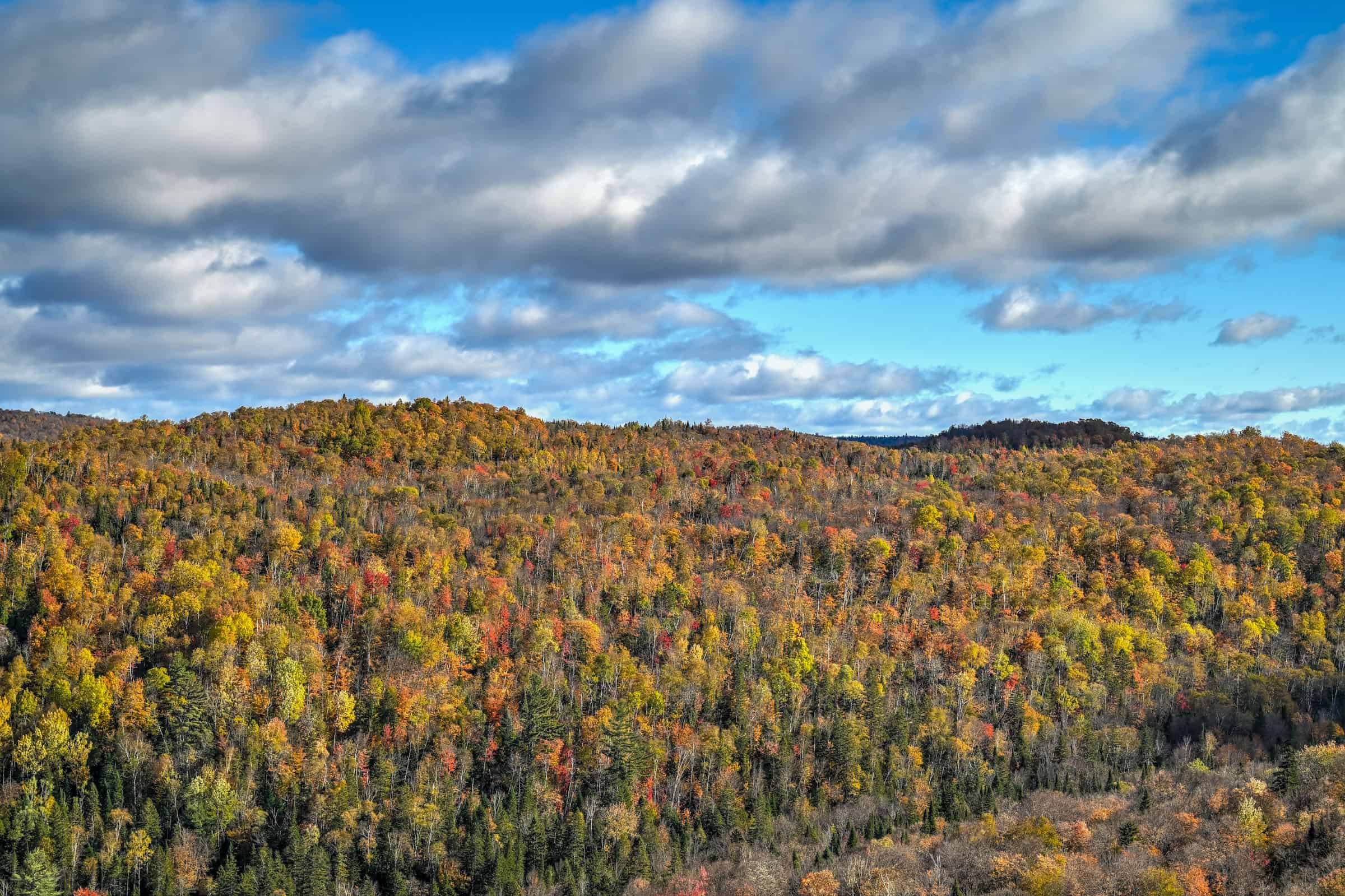 mont condor trail viewpoint in autumn