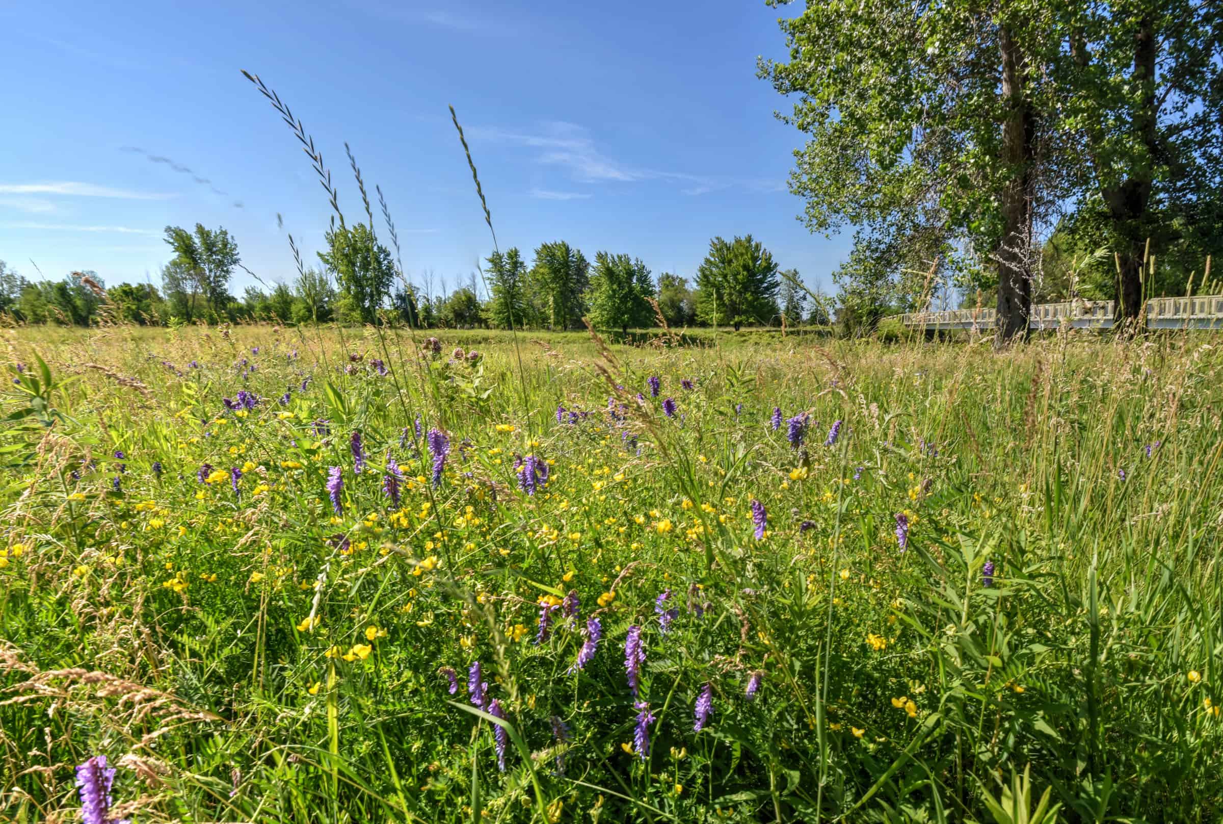 trail boucherville island national park