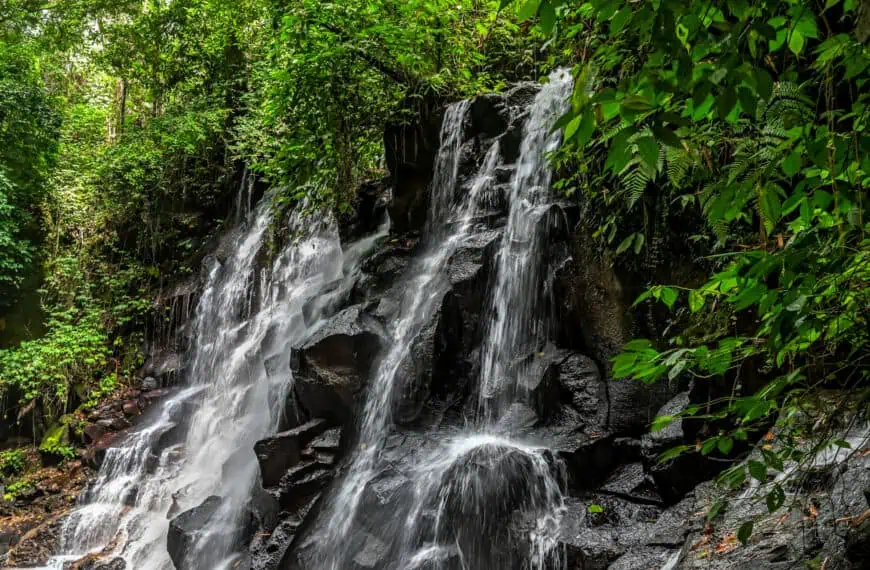 Bali’s Suwat Waterfall